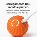 SmartBall
