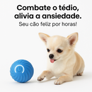 SmartBall